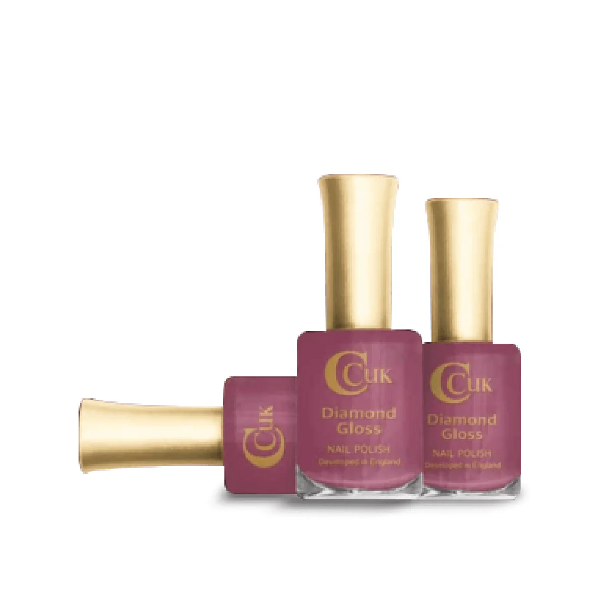 Holiday Earth Nail Polish Collection - Image 5